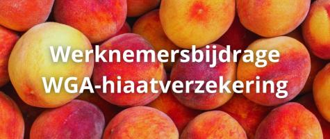 Wordt werknemersbijdrage WGA-hiaat fiscaal correct verwerkt?