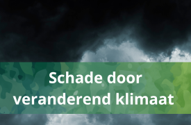 Schade door veranderend klimaat en je verzekeringen