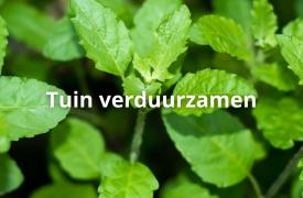 Subsidie klimaatvriendelijke tuin
