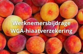 Wordt werknemersbijdrage WGA-hiaat fiscaal correct verwerkt?