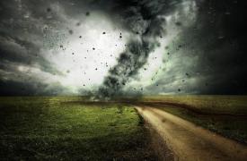 Preventietips en praktische informatie over stormschade