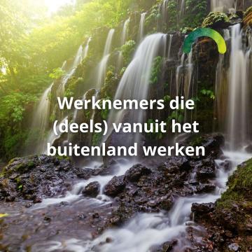 Werknemers die (deels) vanuit het buitenland werken