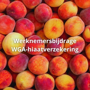 Wordt werknemersbijdrage WGA-hiaat fiscaal correct verwerkt?